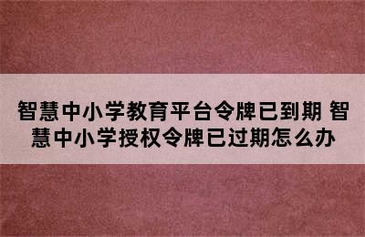 智慧中小学教育平台令牌已到期 智慧中小学授权令牌已过期怎么办